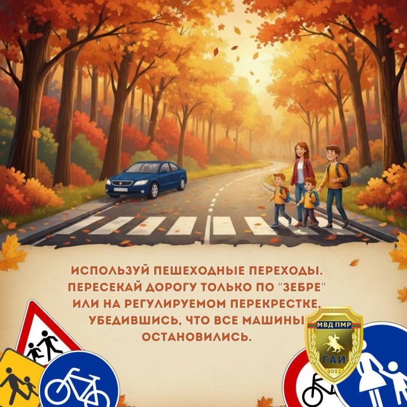 Юный пешеход, будь внимателен! Юный пешеход, будь внимателен!