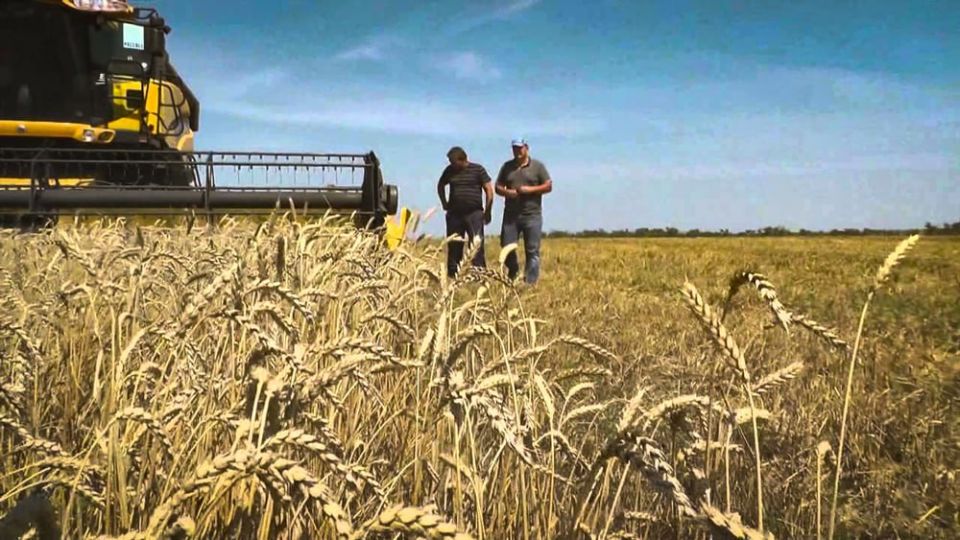        ,   1  2025 .,   1  2026 . 