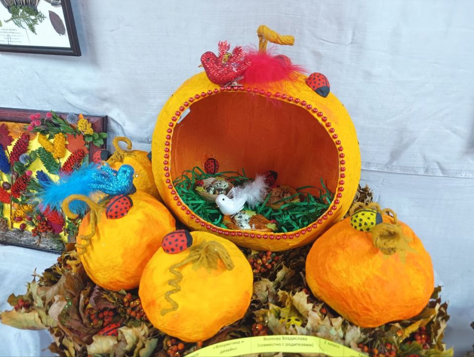 Всего 8 номинаций. Номинацию «Рисунок» заменили на «Аппликация и коллаж», а также «Краски и фактуру» Всего 8 номинаций. Номинацию «Рисунок» заменили на «Аппликация и коллаж», а также «Краски и фактуру»