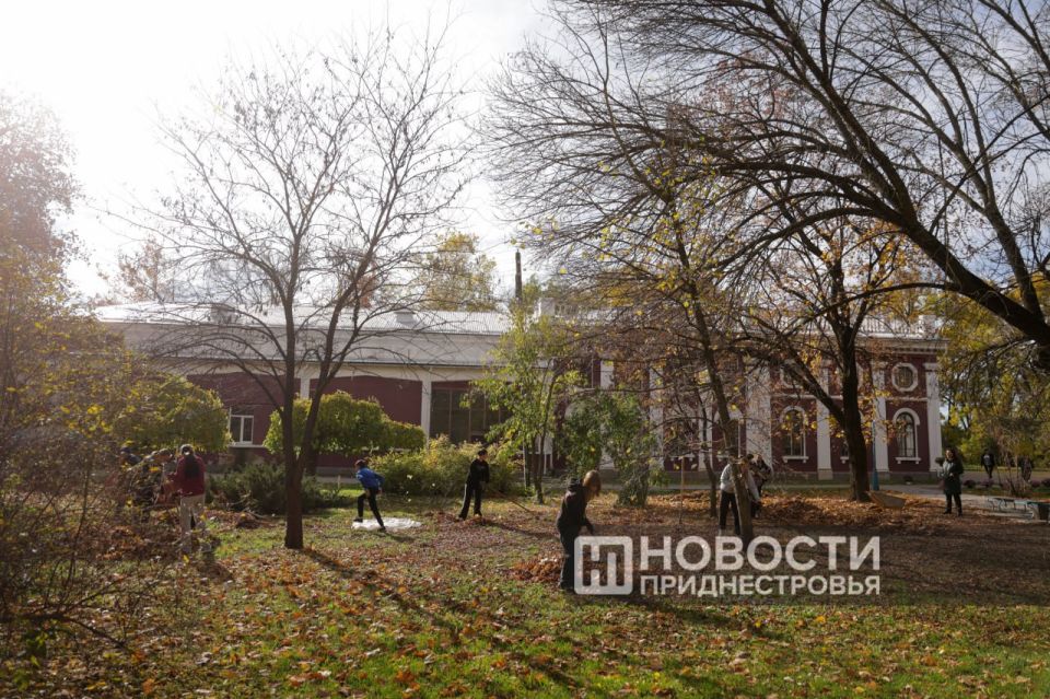 Более 20 деревьев высадила сегодня молодежь Чобручей в парке Дмитрия Родина Более 20 деревьев высадила сегодня молодежь Чобручей в парке Дмитрия Родина