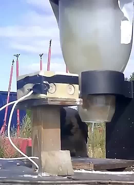 В Швеции придумали, как бороться с окурками с помощью ворон