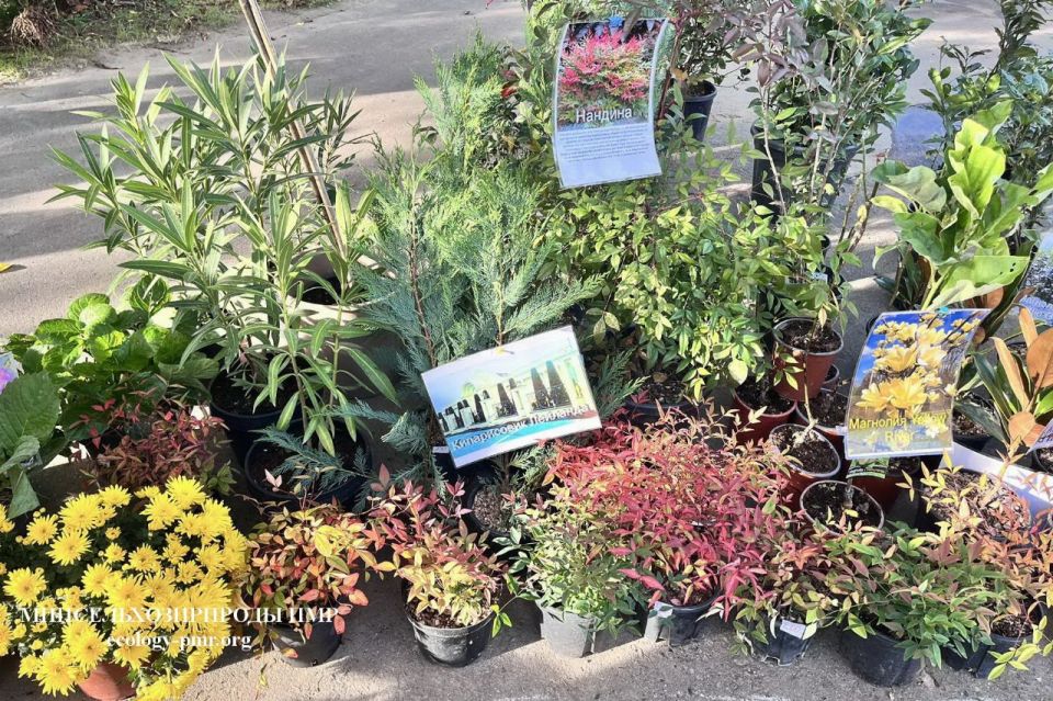 Республиканский ботсад: выставка-продажа растений Республиканский ботсад: выставка-продажа растений