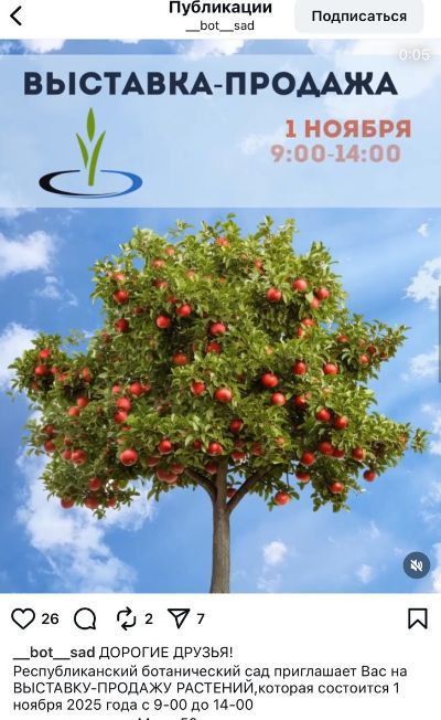 Выходные в Тирасполе обещают быть насыщенными!