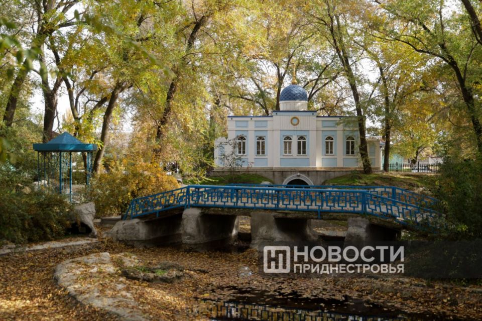 Более 20 деревьев высадила сегодня молодежь Чобручей в парке Дмитрия Родина Более 20 деревьев высадила сегодня молодежь Чобручей в парке Дмитрия Родина