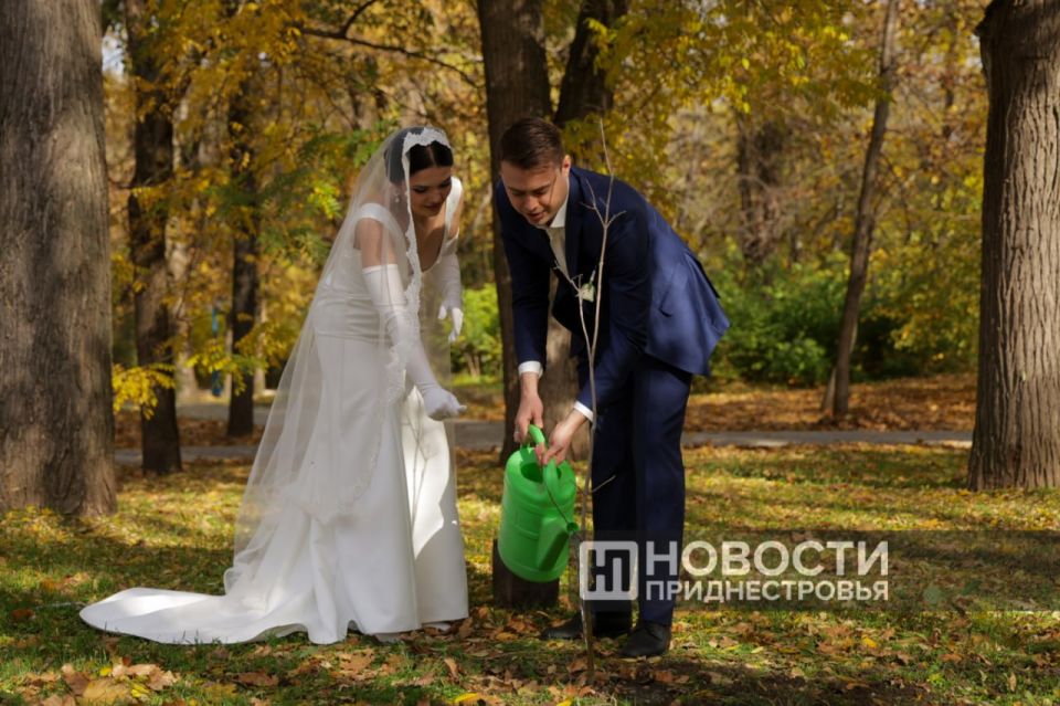 Более 20 деревьев высадила сегодня молодежь Чобручей в парке Дмитрия Родина Более 20 деревьев высадила сегодня молодежь Чобручей в парке Дмитрия Родина