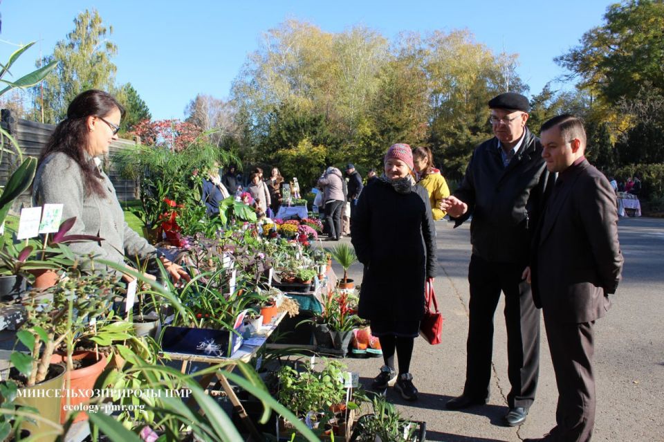 В Тирасполе работает выставка-продажа растений В Тирасполе работает выставка-продажа растений