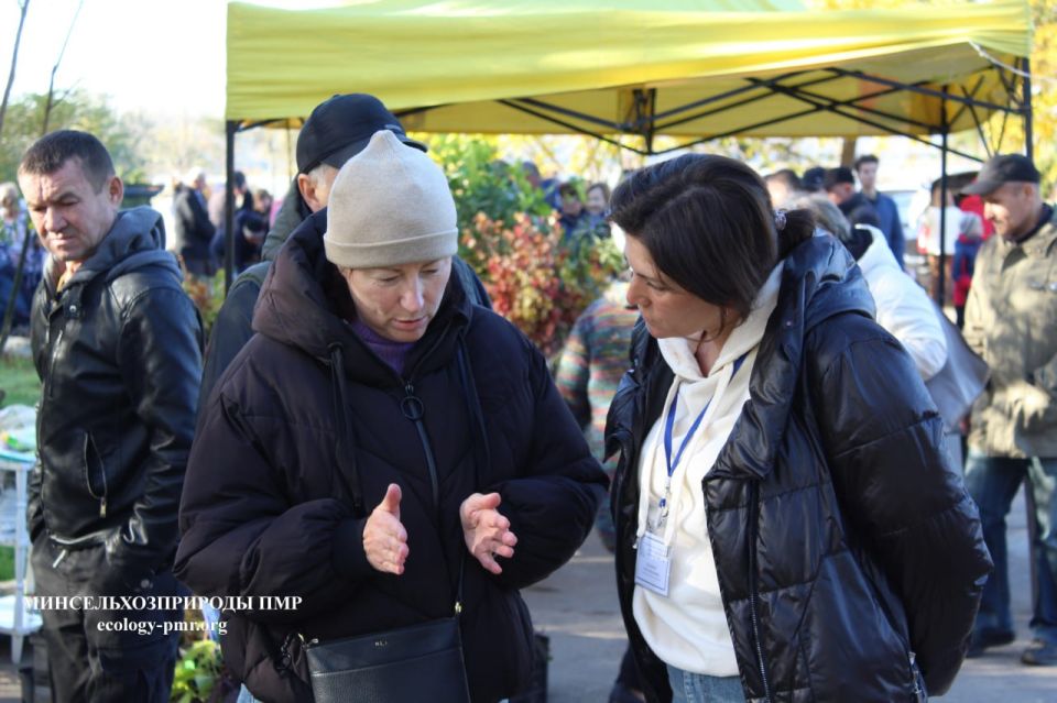 В Тирасполе проходит выставка-продажа растений В Тирасполе проходит выставка-продажа растений