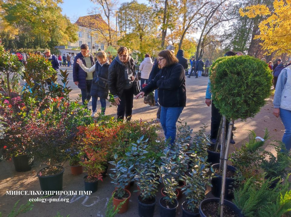 В Тирасполе проходит выставка-продажа растений В Тирасполе проходит выставка-продажа растений