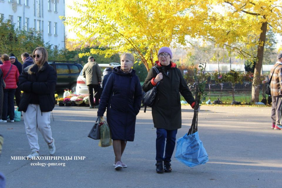В Тирасполе проходит выставка-продажа растений В Тирасполе проходит выставка-продажа растений