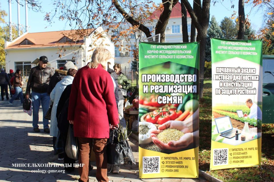 В Тирасполе работает выставка- продажа растений В Тирасполе работает выставка- продажа растений