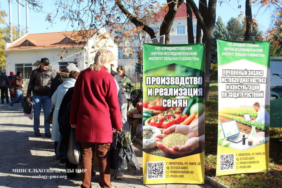 В Тирасполе работает выставка-продажа растений В Тирасполе работает выставка-продажа растений