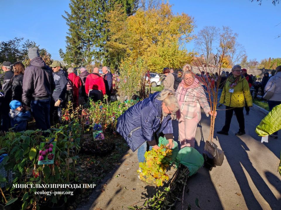 В Тирасполе проходит выставка-продажа растений В Тирасполе проходит выставка-продажа растений