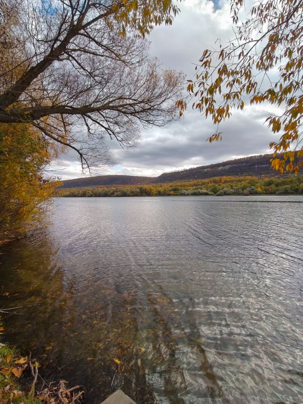 Фазенда «Садки», гостевые дома Валя-Адынки и другие туристические зоны отдыха Каменского района в объективе Виталия Калерина Фазенда «Садки», гостевые дома Валя-Адынки и другие туристические зоны отдыха Каменского района в объективе Виталия Калерина