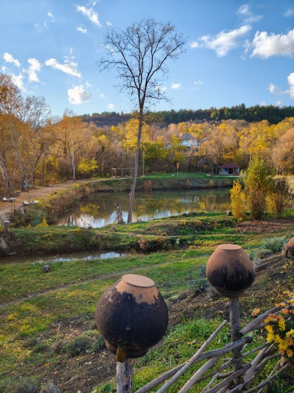 Фазенда «Садки», гостевые дома Валя-Адынки и другие туристические зоны отдыха Каменского района в объективе Виталия Калерина Фазенда «Садки», гостевые дома Валя-Адынки и другие туристические зоны отдыха Каменского района в объективе Виталия Калерина