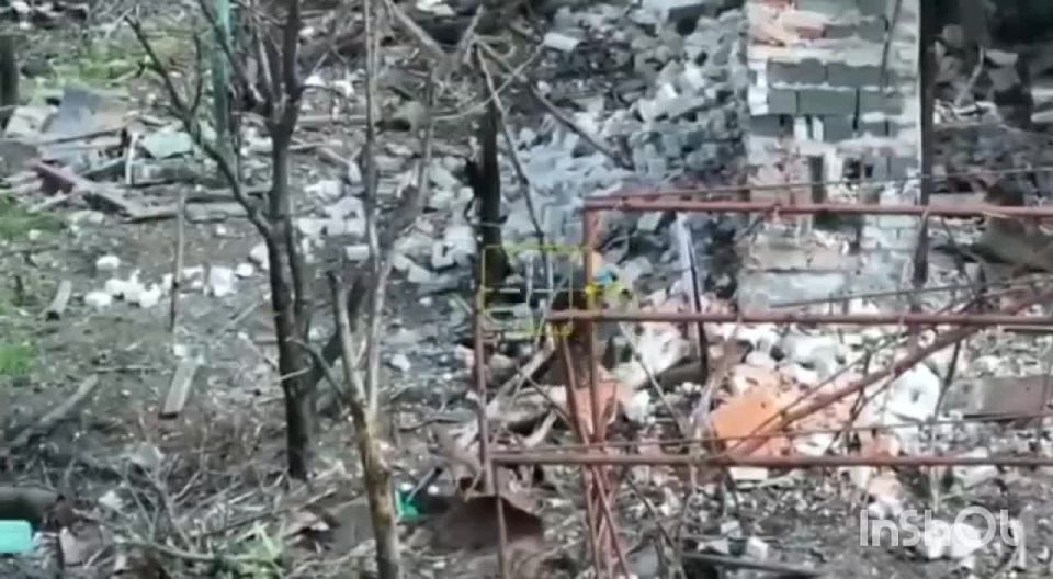 Без комментариев