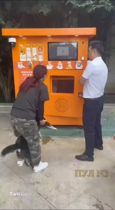 Собаку помыть, посушить и подушить одеколоном: