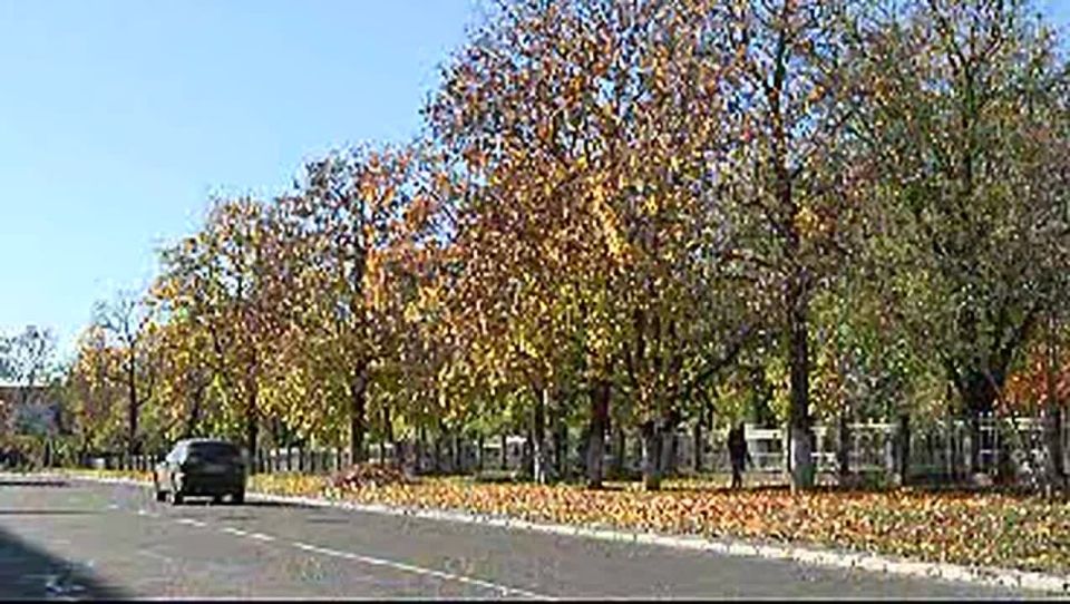 Золото осени окутывает город