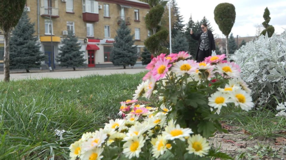 Зелёная волна осени. В Бендерах продолжаются сезонные работы по озеленению Зелёная волна осени. В Бендерах продолжаются сезонные работы по озеленению