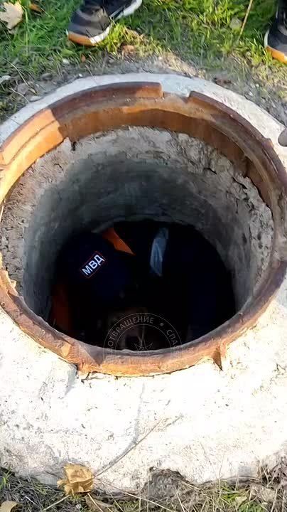 На видео столичные спасатели достают стаффорда из колодца теплотрассы