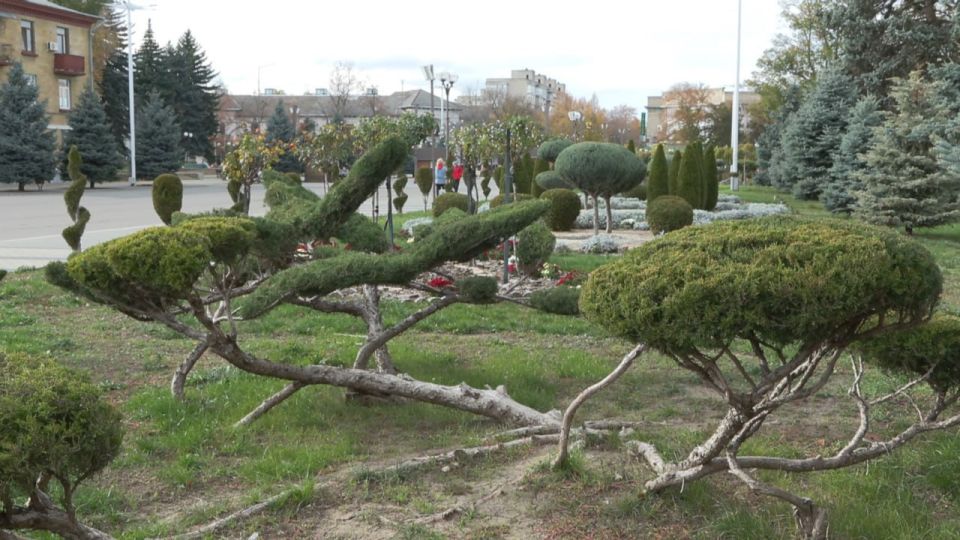 Зелёная волна осени. В Бендерах продолжаются сезонные работы по озеленению Зелёная волна осени. В Бендерах продолжаются сезонные работы по озеленению