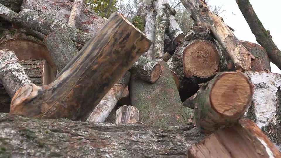 Столичным пенсионерам, многодетным семьям и ветеранам с печным отоплением развозят дрова