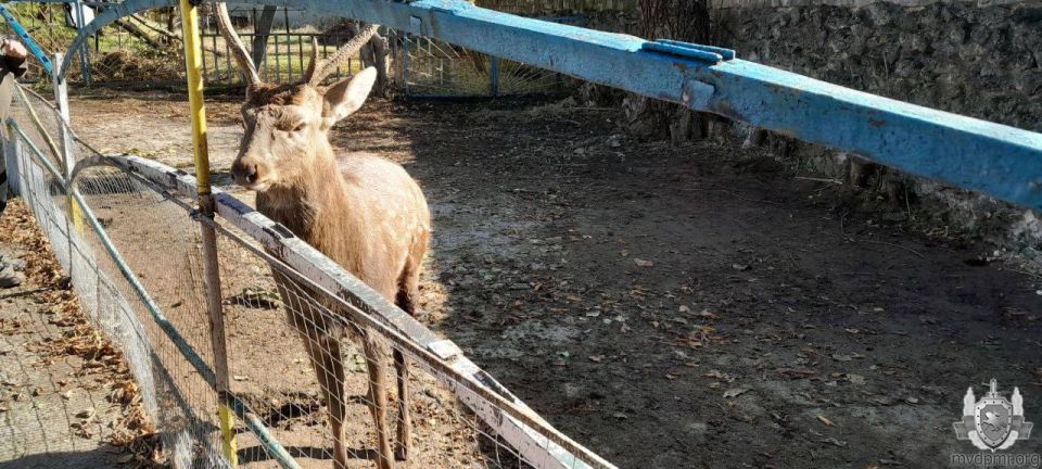 �� ������� ����� �����. � ���������� 58-������ ������� ������ ��������� �� ����� ������ �� ���������� ���������� ��������