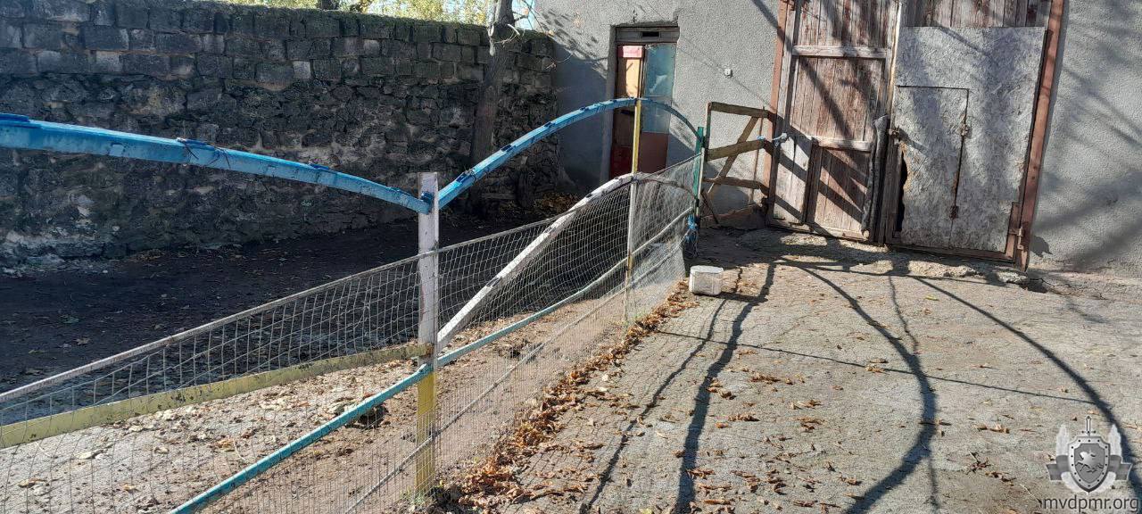 В Дубоссарском зоопарке на 58-летнего мужчину напал олень