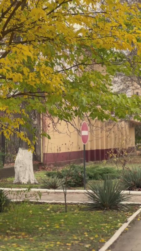 Атмосфера осени в Бендерах