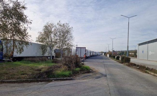 Молдавские фермеры бьют тревогу – их фрукты днями стоят на границе и гниют в фурах