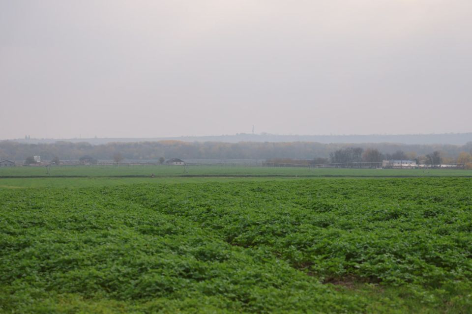 ������������ � ����������