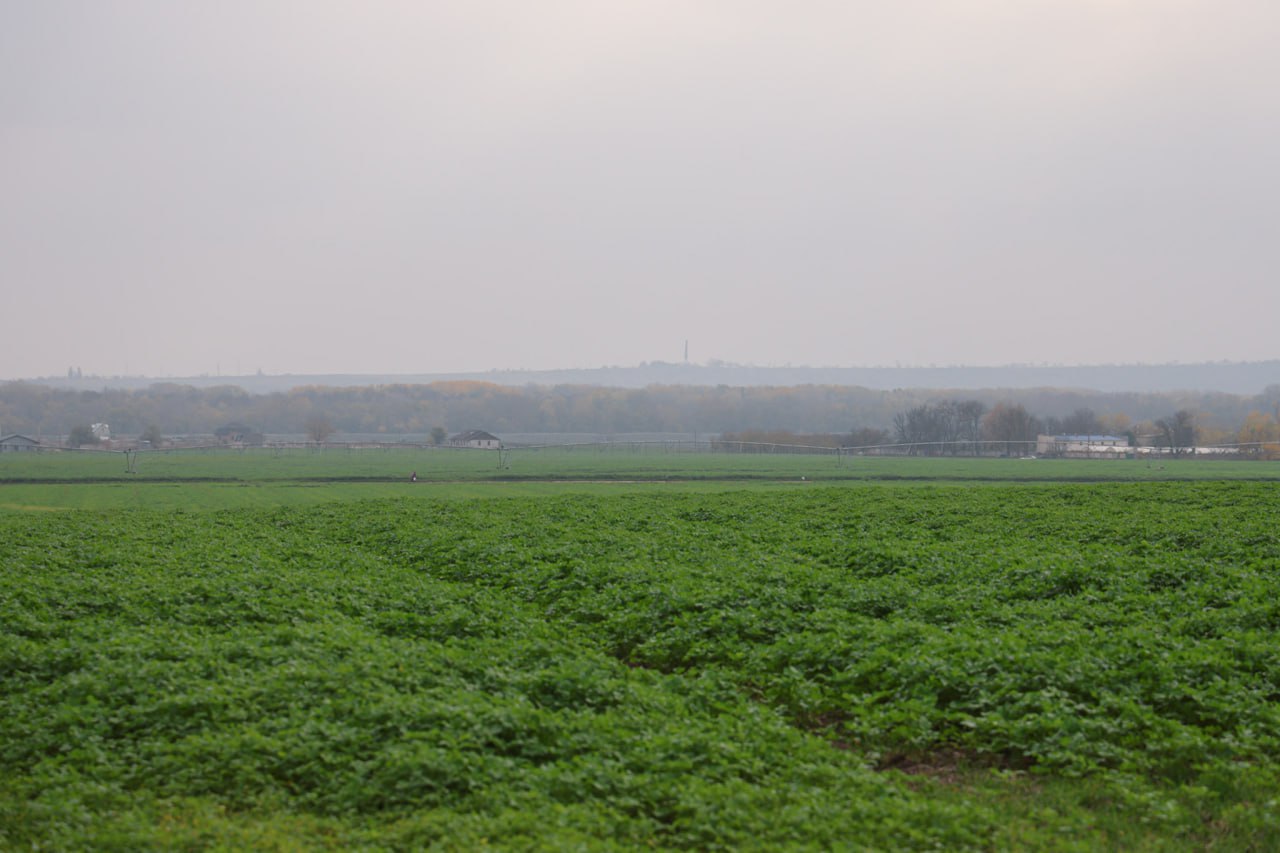 Фоторепортаж с субботника Фоторепортаж с субботника