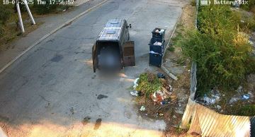 Тема чистоты и благоустройства