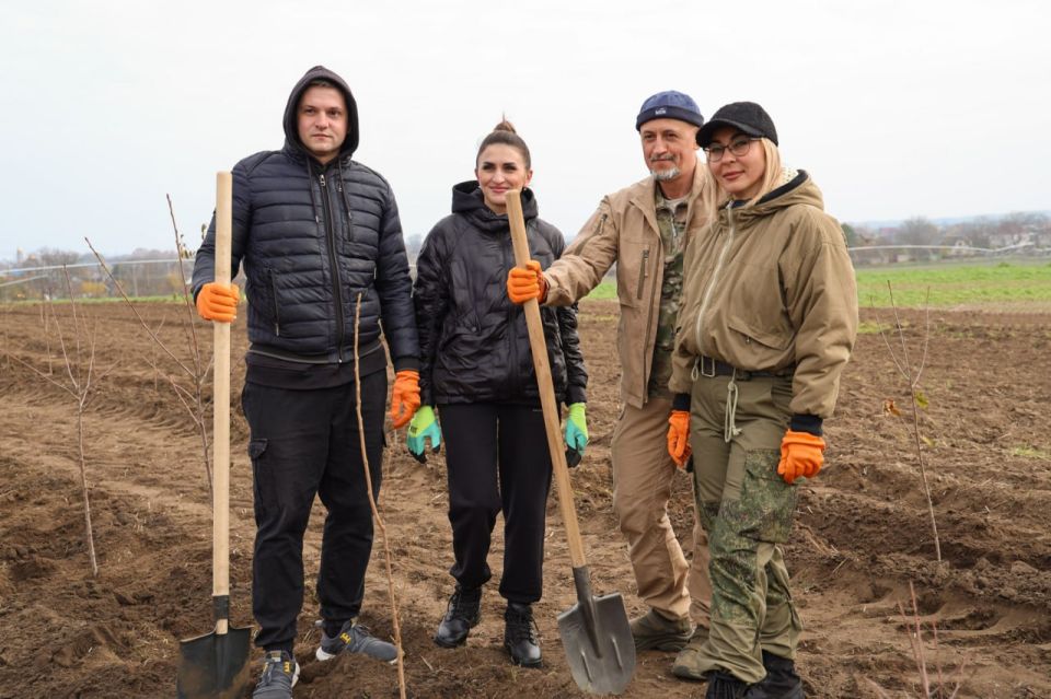 ������������ � ����������