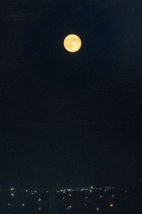 Приднестровцы фотографируют бобровую луну