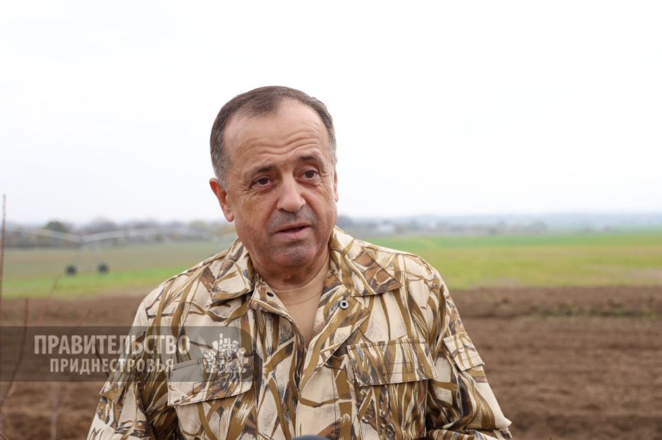 Новую лесополосу высадили в Слободзейском районе члены Правительства во время субботника