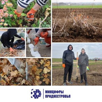 Сегодня министр цифрового развития, связи и массовых коммуникаций Александр Димитрогло принял участие в акции по высадке деревьев