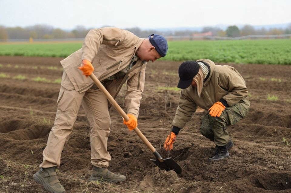 ������������ � ����������