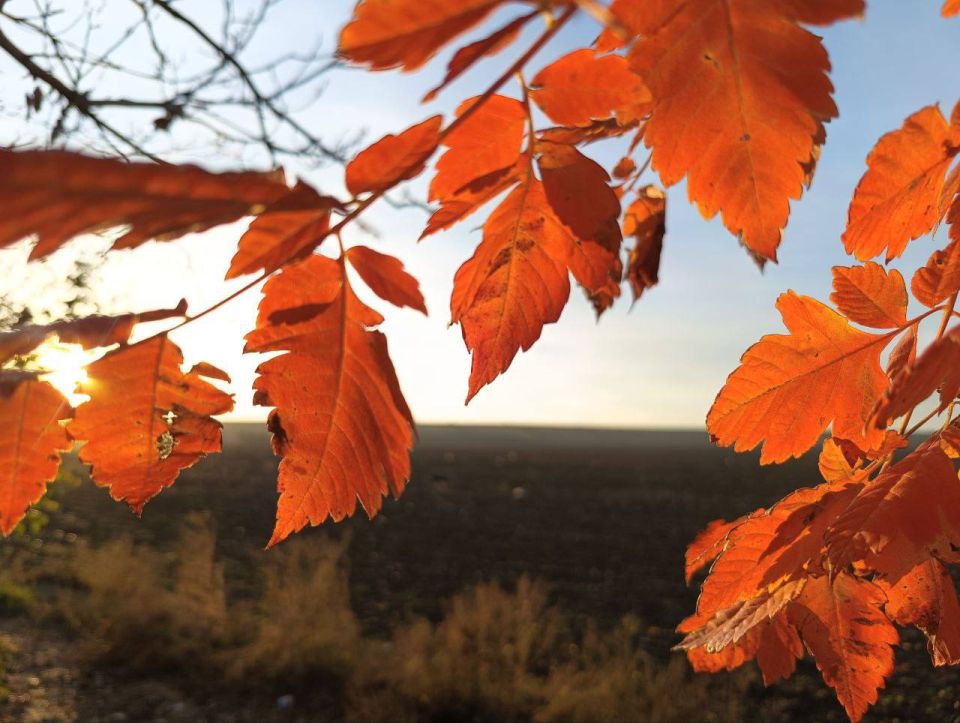 Настроение: наслаждаться яркими красками осени и прислушиваться к шороху листьев Настроение: наслаждаться яркими красками осени и прислушиваться к шороху листьев