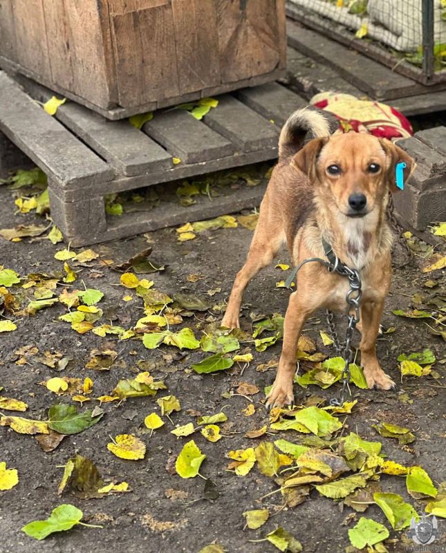 ����� ���������� � ������. �������� � �������� �������������� ������������ ��������� ��� ����� �������� � ���������� ����� ��� ��������