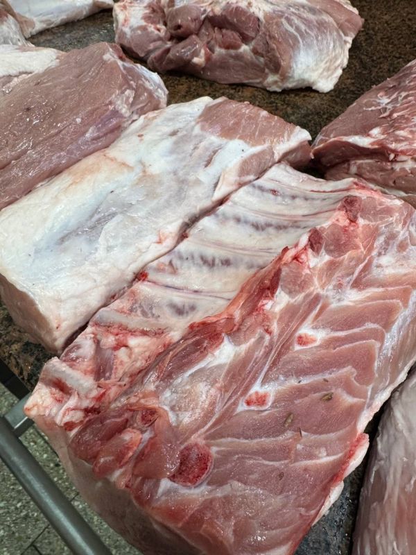 ����, �������� ��������, ����: