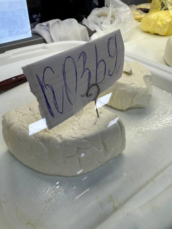 ����, �������� ��������, ����: