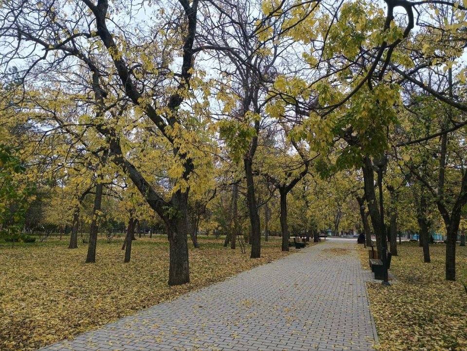 Настроение: наслаждаться яркими красками осени и прислушиваться к шороху листьев