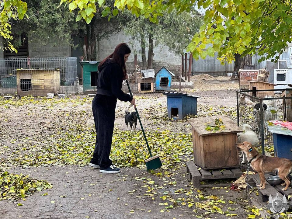 ����� ���������� � ������. �������� � �������� �������������� ������������ ��������� ��� ����� �������� � ���������� ����� ��� ��������