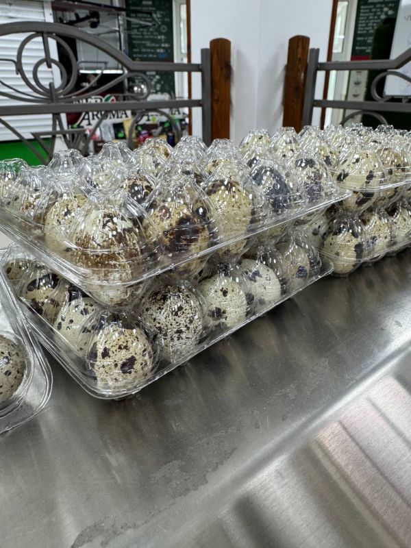 ����, �������� ��������, ����: