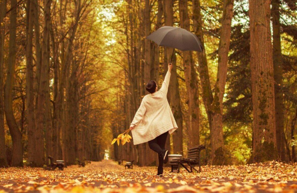 8 ноября нам всем стоит вспомнить, что жизнь без Wi-Fi возможна и даже временами полезна, если заменить виртуальное общение на живое