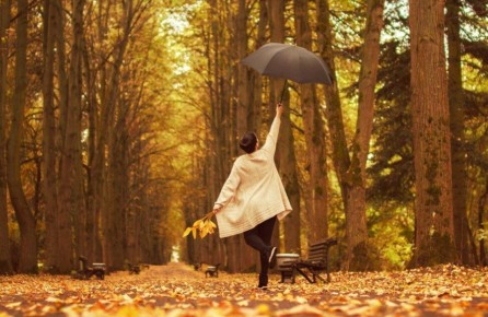 8 ноября нам всем стоит вспомнить, что жизнь без Wi-Fi возможна и даже временами полезна, если заменить виртуальное общение на живое