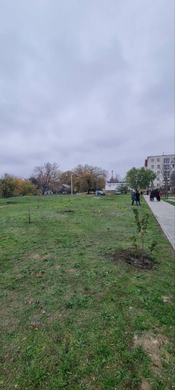 Зелёная акция в Тимирязевском сквере Зелёная акция в Тимирязевском сквере