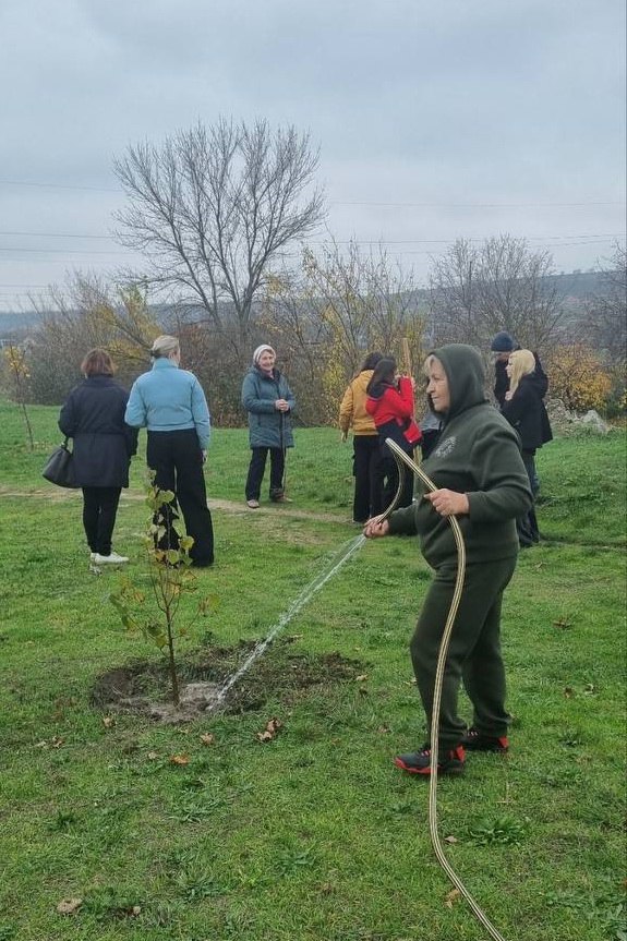 Молодые дубы, липы, клёны и акацию сегодня высаживали в Тимирязевском сквере Бендер