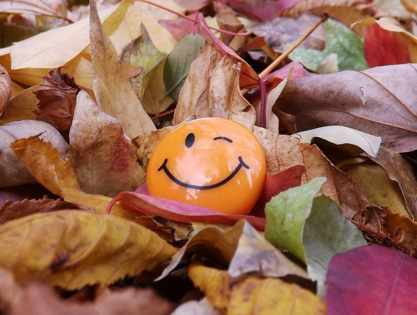 Четыре единицы подряд — 11.11. Магическое сочетание цифр, которое превратило обычную дату в настоящий фестиваль самых разных событий