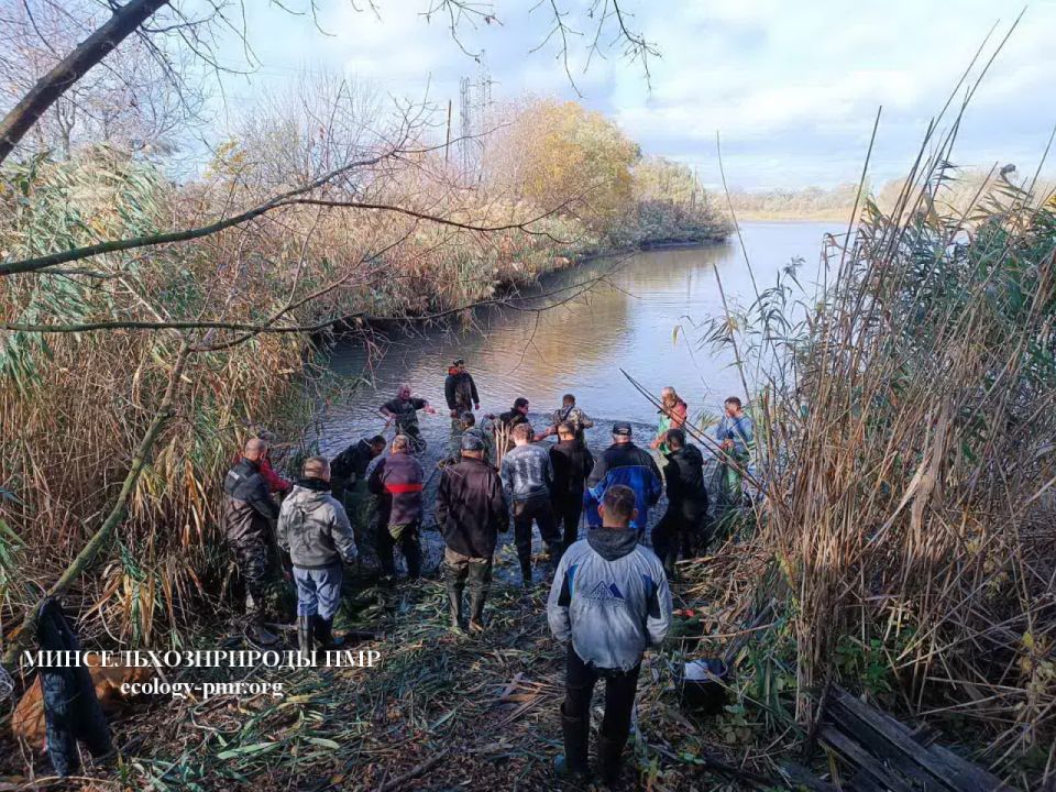 Более 7 тонн рыбы выпустили в Кучурганское водохранилище в начале ноября Более 7 тонн рыбы выпустили в Кучурганское водохранилище в начале ноября